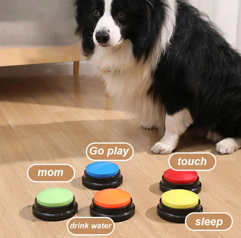 Funny Dog Recordable Pet Toys Travel Talking Starters