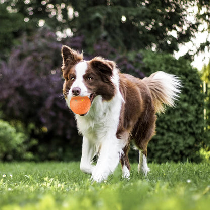 Smart Dog Toy Ball Electronic Interactive Pet Toy Ball