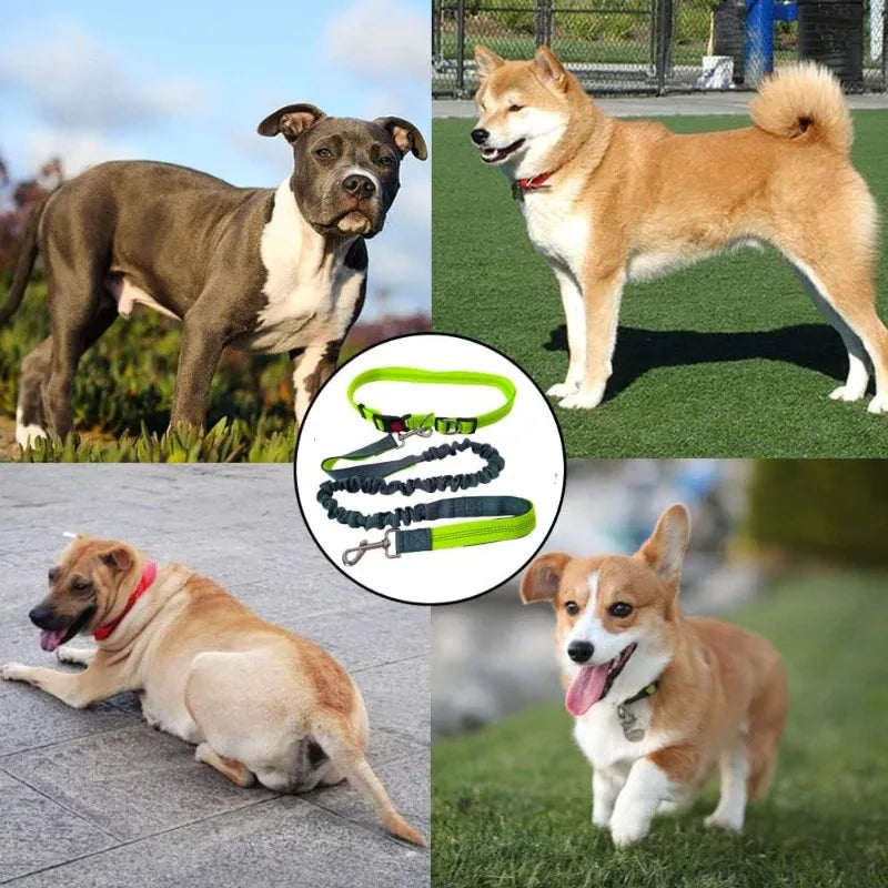 Hand Free Dog Leash Adjustable Dog Leash Waist Belt