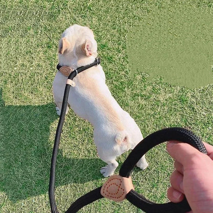 Adjustable Collar Harness Dog Leash Nylon Pet Lead Leash