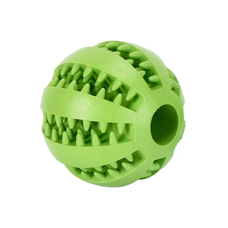 Alleviating Canine Tooth Pain Slowly Eat Chew Snacks And Distribute