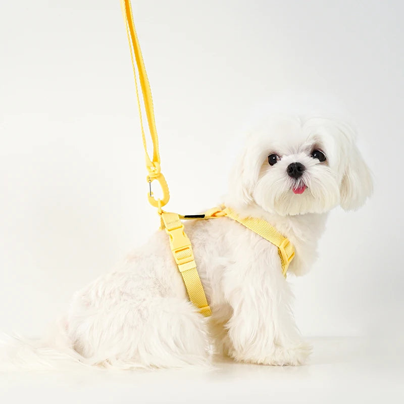 Adjustable Dog Harness Collar Leash Set Macarone Color