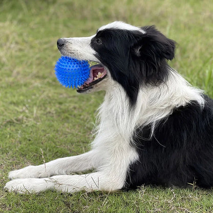 Pet Squeaky Thorn Ball Toy TPR Polka Dot Sounding
