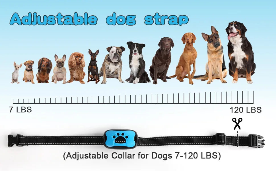 Pet Dog Anti Barking Device USB Rechargeable Dogs Training