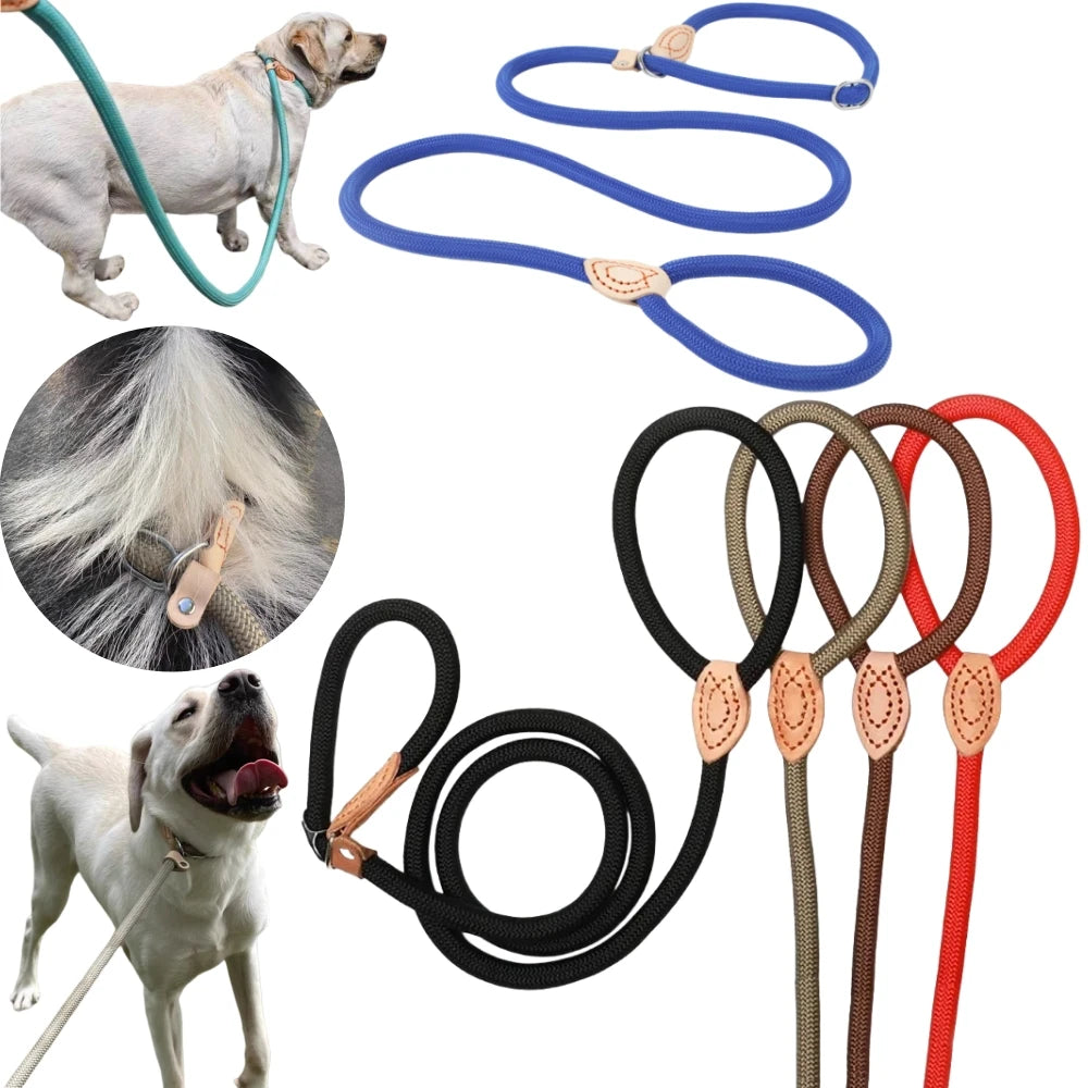 Dog Leash Slip Rope Lead Leash Heavy Duty Braided