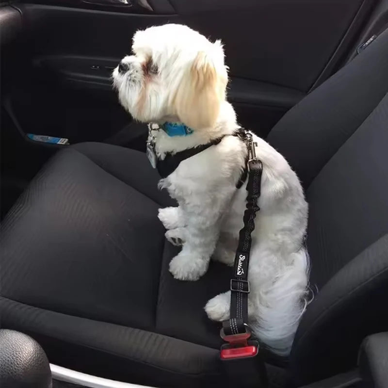 Dog safety leash pet car seat belt dog traction seat belt
