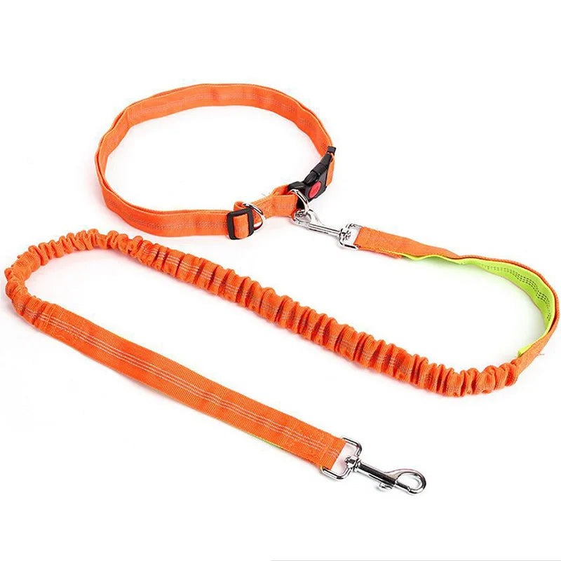 Hand Free Dog Leash Adjustable Dog Leash Waist Belt