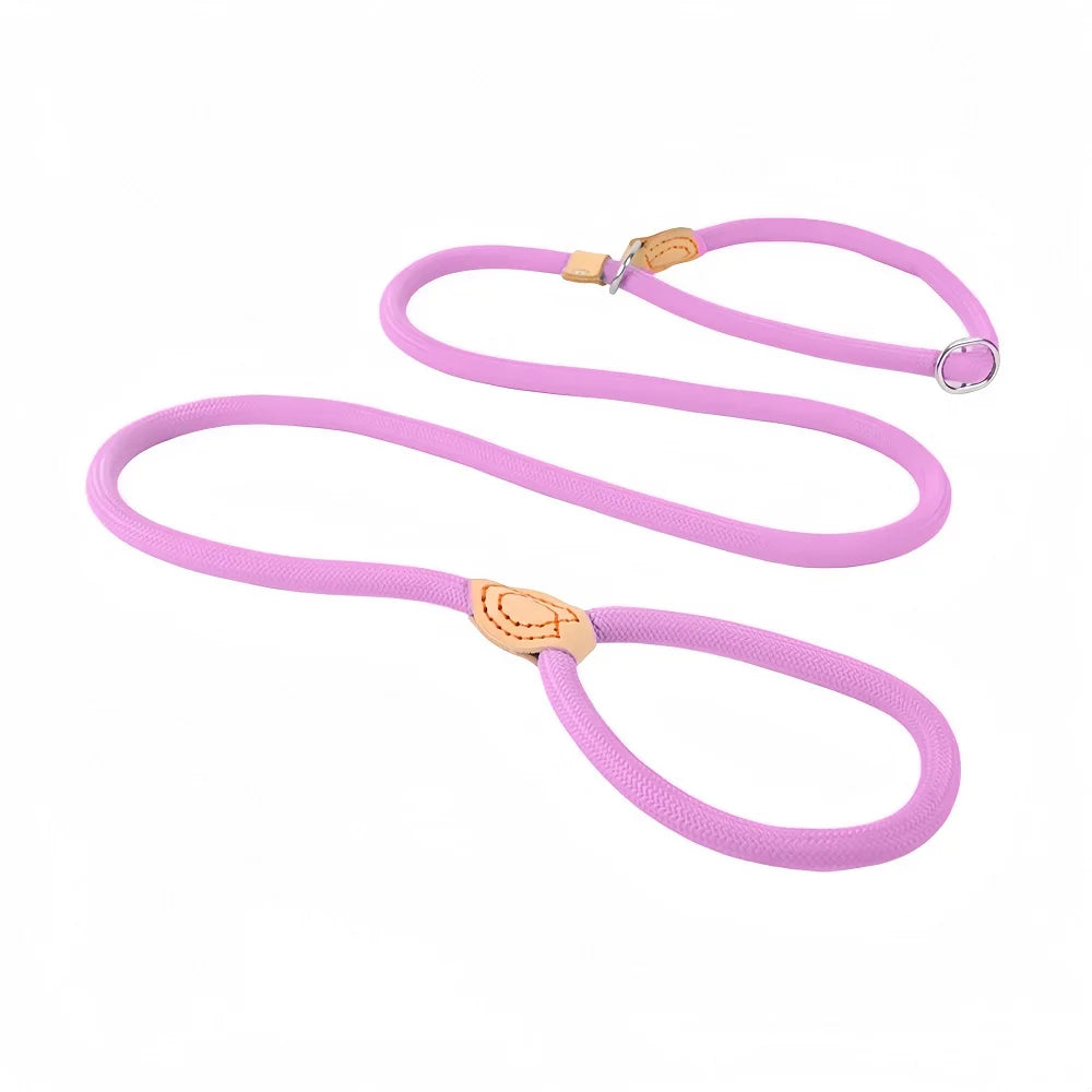 Dog Leash Slip Rope Lead Leash Heavy Duty Braided