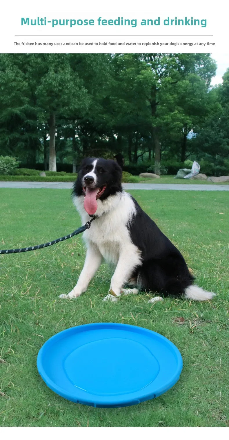 Dog Frisbee Border Animal Pet Dog Special Frisbee Bite