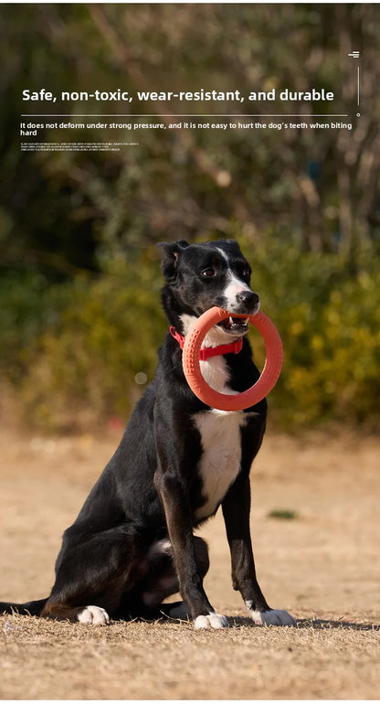 Bite-Resistant Soft Pull-Ring Frisbee Dog Training