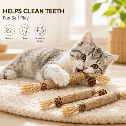 Pet Silvervine Chew Sticks with Raffia Grass Dog Teething Toy
