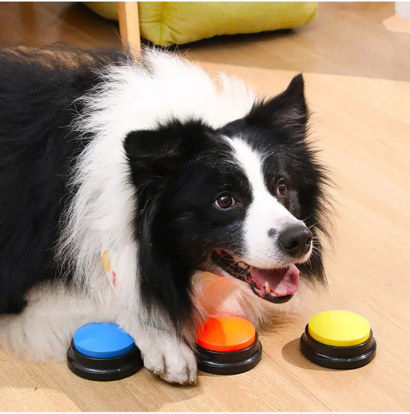 Funny Dog Recordable Pet Toys Travel Talking Starters