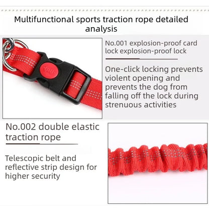 Hand Free Dog Leash Adjustable Dog Leash Waist Belt