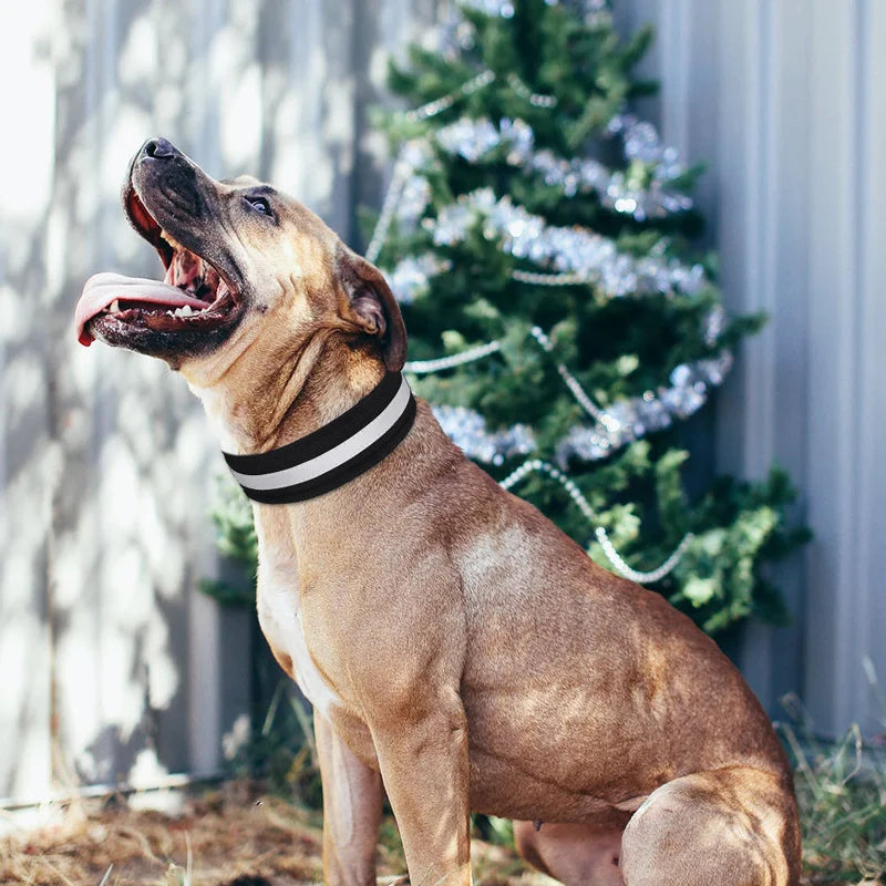 Reflective Solid Color Dog Collar  Polyester Breathable & Comfortable