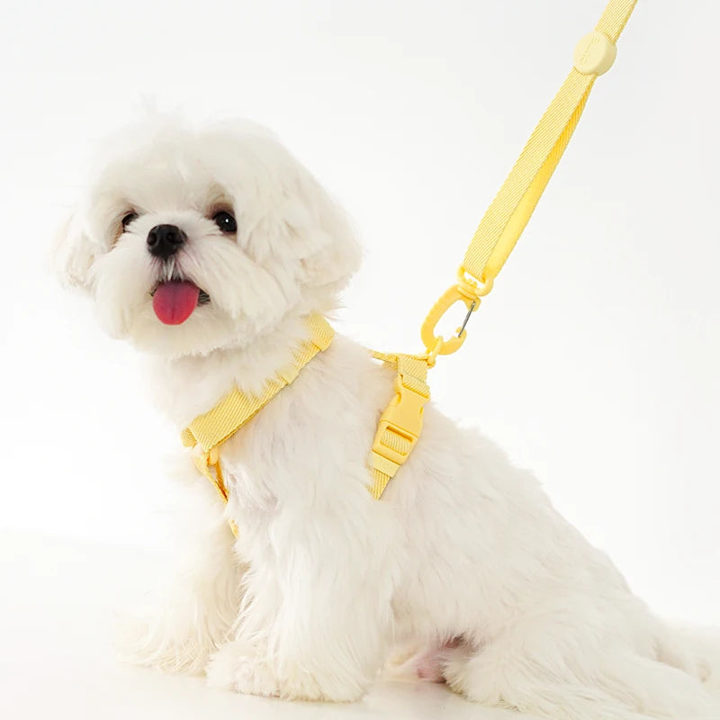 Adjustable Dog Harness Collar Leash Set Macarone Color