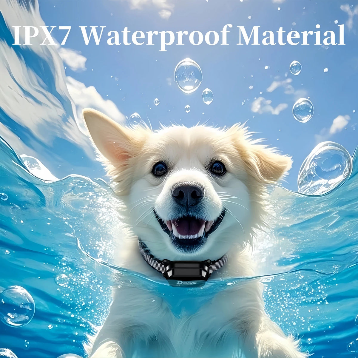 800m Digital Dog Training Collar Waterproof Rechargeable