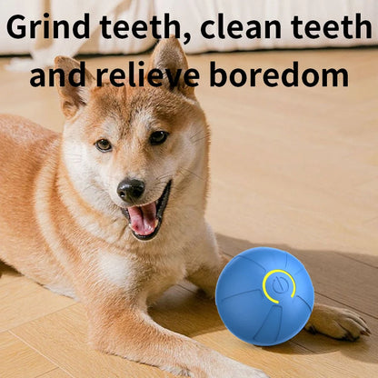 Smart Dog Toy Ball Automatic Interactive Pet Chew Toy