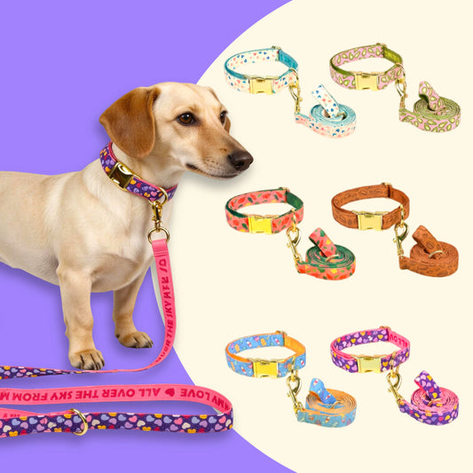 Adjustable Dog Collar and Leash Set