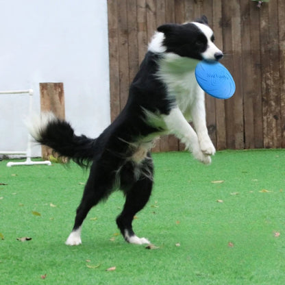 Dog Frisbee Border Animal Pet Dog Special Frisbee Bite