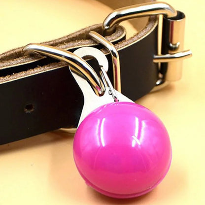 LED Pet Dog Collar USB/Battery Luminous Night Light Collar