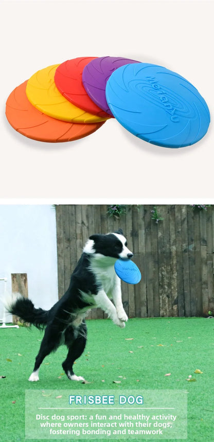 Dog Frisbee Border Animal Pet Dog Special Frisbee Bite