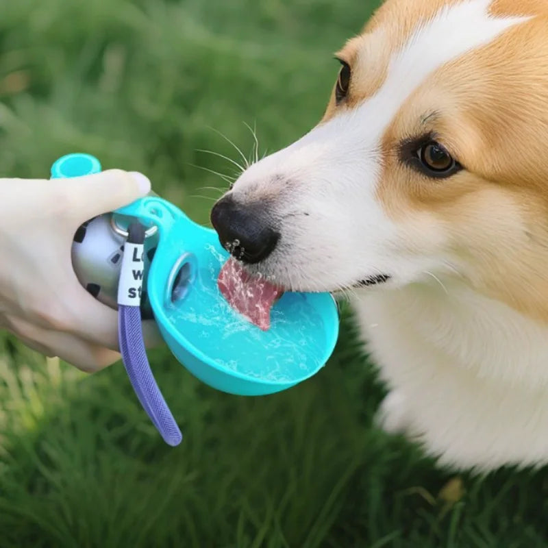 Portable Foldable Spherical PET Dog Water Cup with Hook