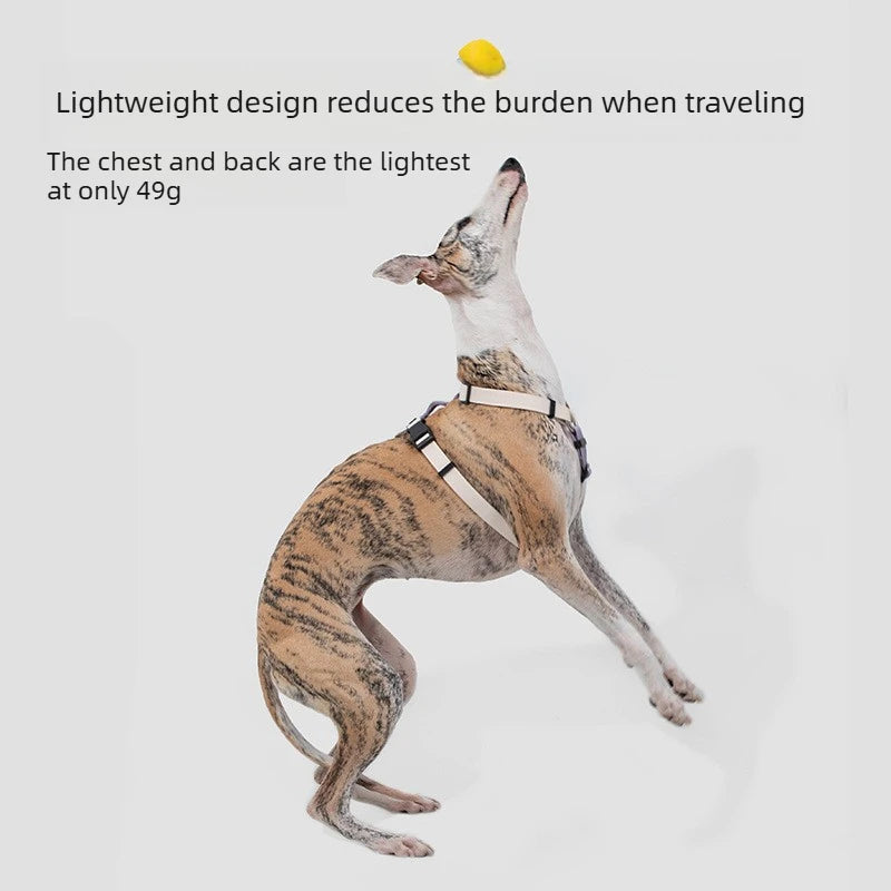 Dog Harness and Leash Set H Shape Light Anti Escape Adjustable