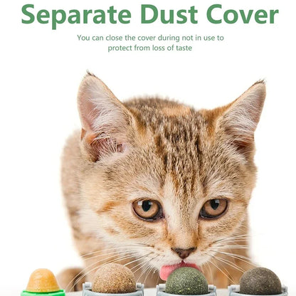 4 in 1 Rotating Catnip Silver Vine Ball Teeth Cleaning