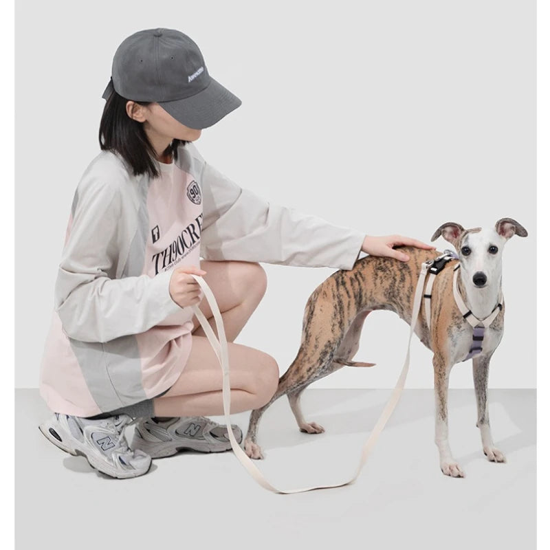 Dog Harness and Leash Set H Shape Light Anti Escape Adjustable