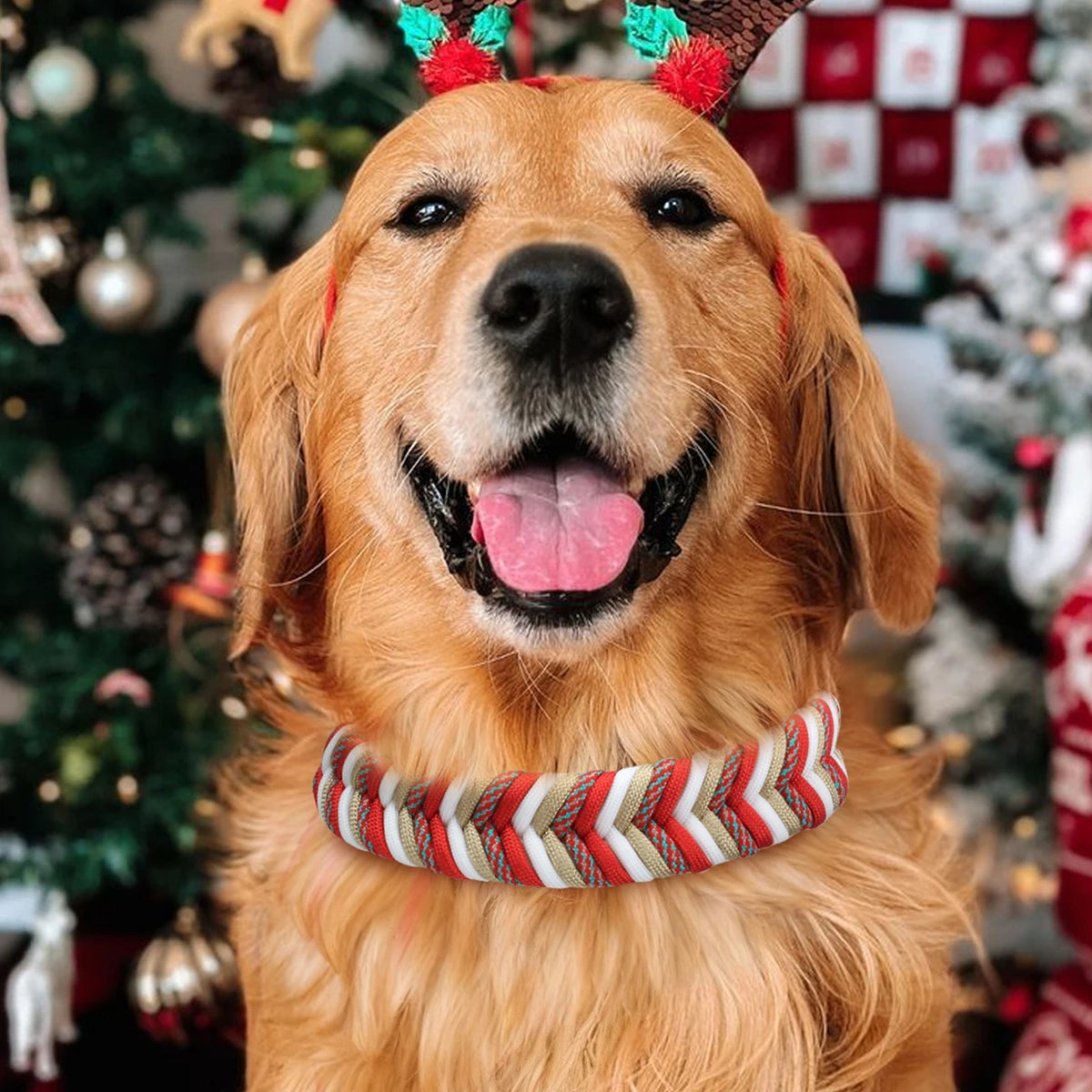 Durable Nylon Pet Dog Collar For Christmas Gifts