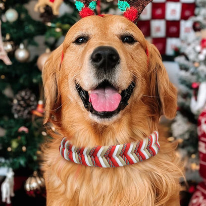 Durable Nylon Pet Dog Collar For Christmas Gifts