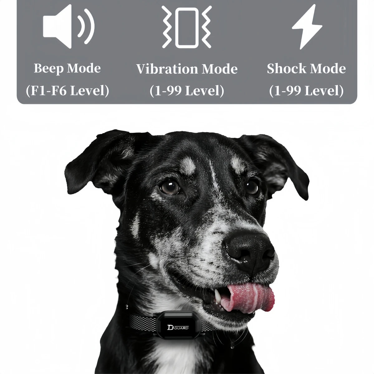 800m Digital Dog Training Collar Waterproof Rechargeable