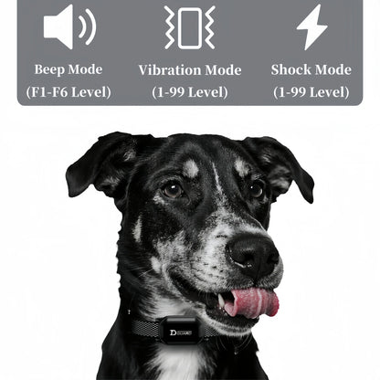 800m Digital Dog Training Collar Waterproof Rechargeable