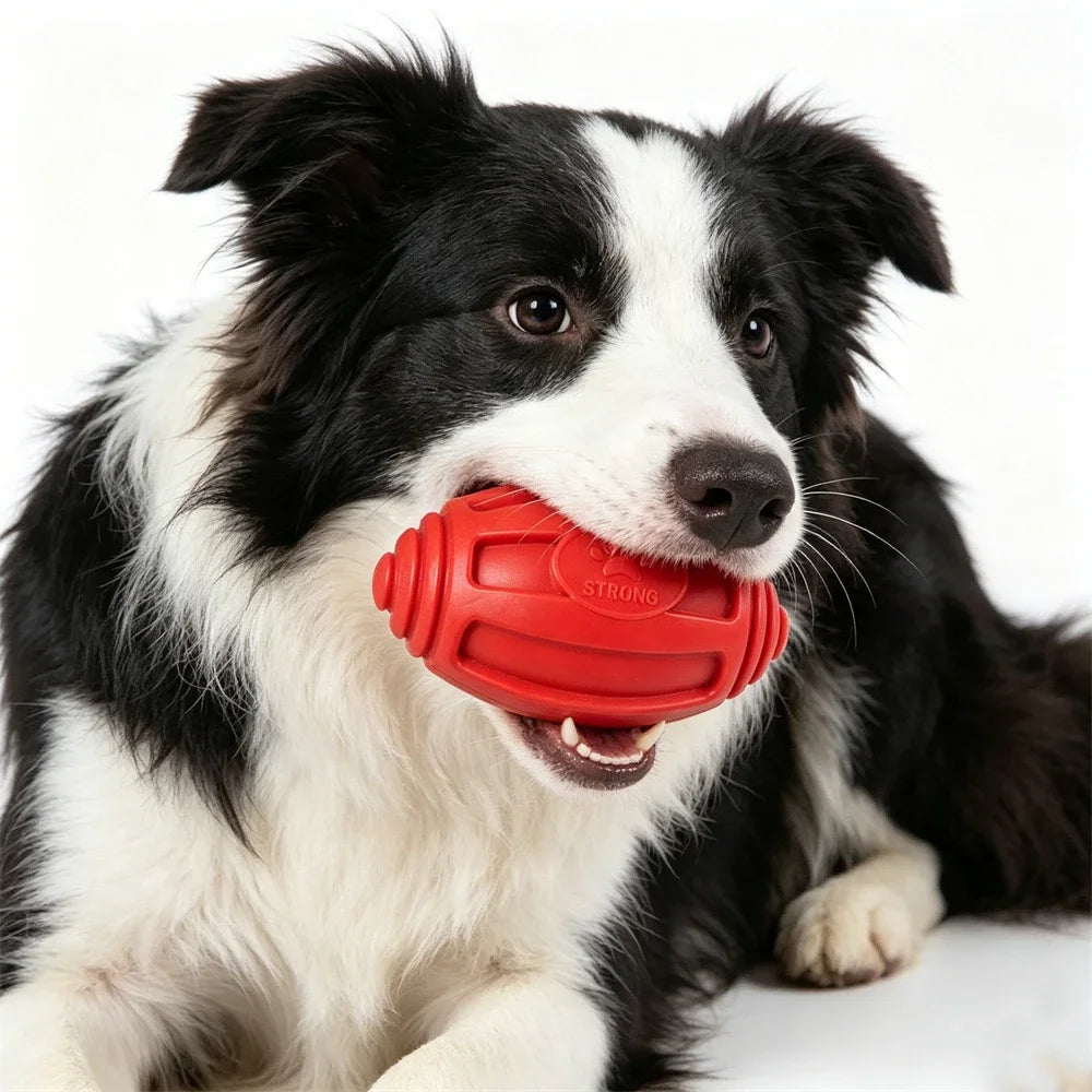 Safe Rubber Big Dog Toys for Aggressive Chewers Playing