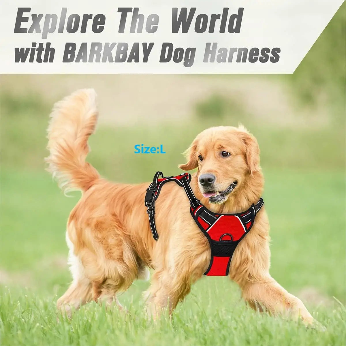 Reflective Easy Control Handle for Large Dog Walking