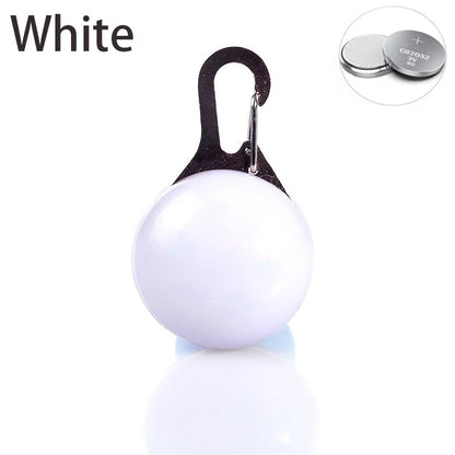 LED Pet Dog Collar USB/Battery Luminous Night Light Collar