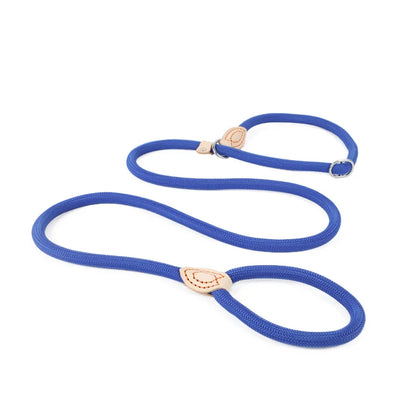 Dog Leash Slip Rope Lead Leash Heavy Duty Braided