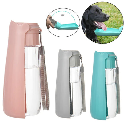 Foldable Puppy Cats Water Dispenser Outdoor Chihuahua Pug Product