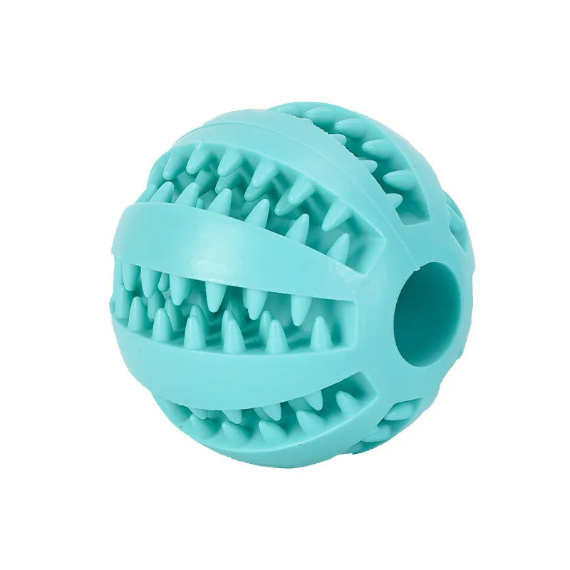 Alleviating Canine Tooth Pain Slowly Eat Chew Snacks And Distribute