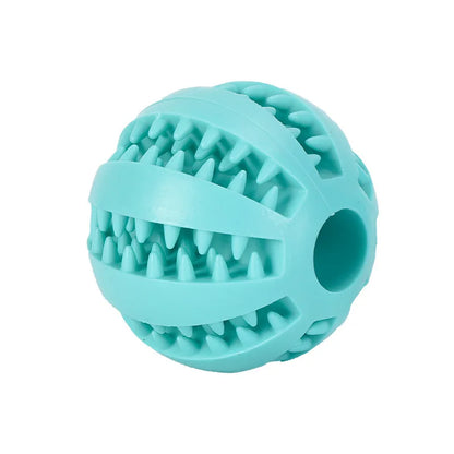 Alleviating Canine Tooth Pain Slowly Eat Chew Snacks And Distribute