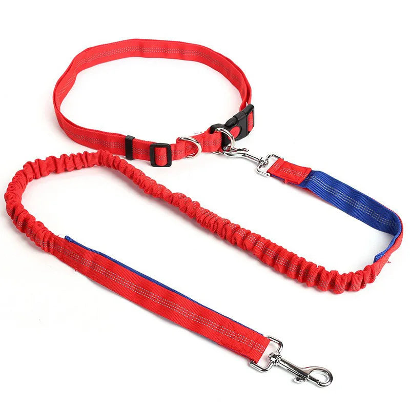 Hand Free Dog Leash Adjustable Dog Leash Waist Belt