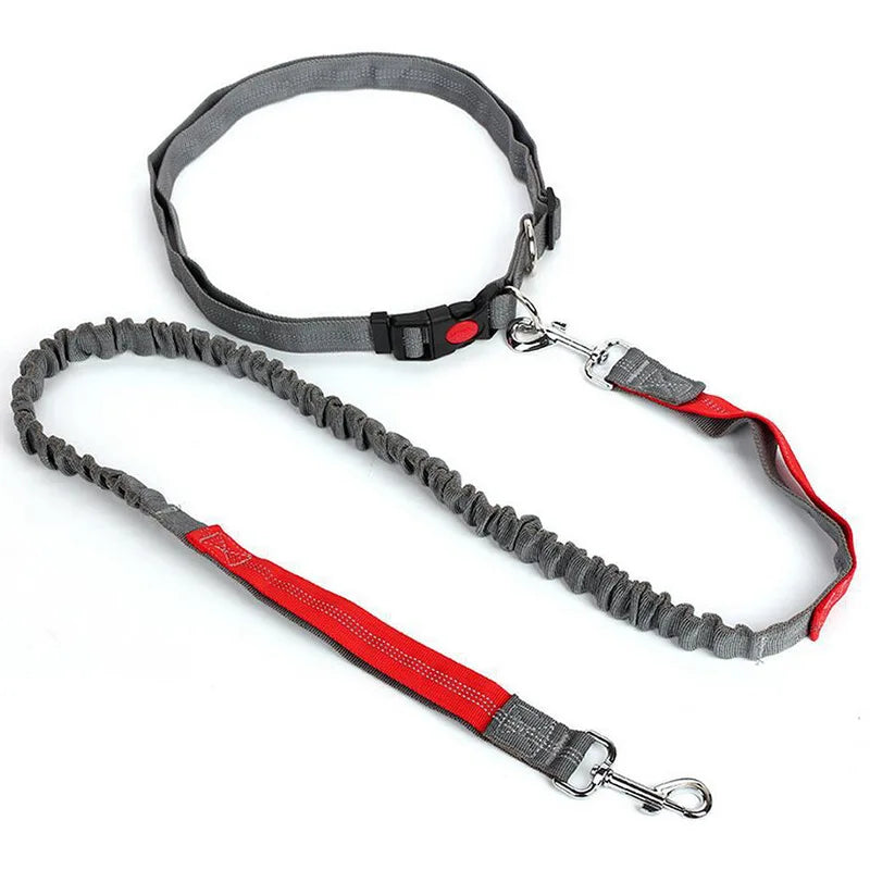Hand Free Dog Leash Adjustable Dog Leash Waist Belt