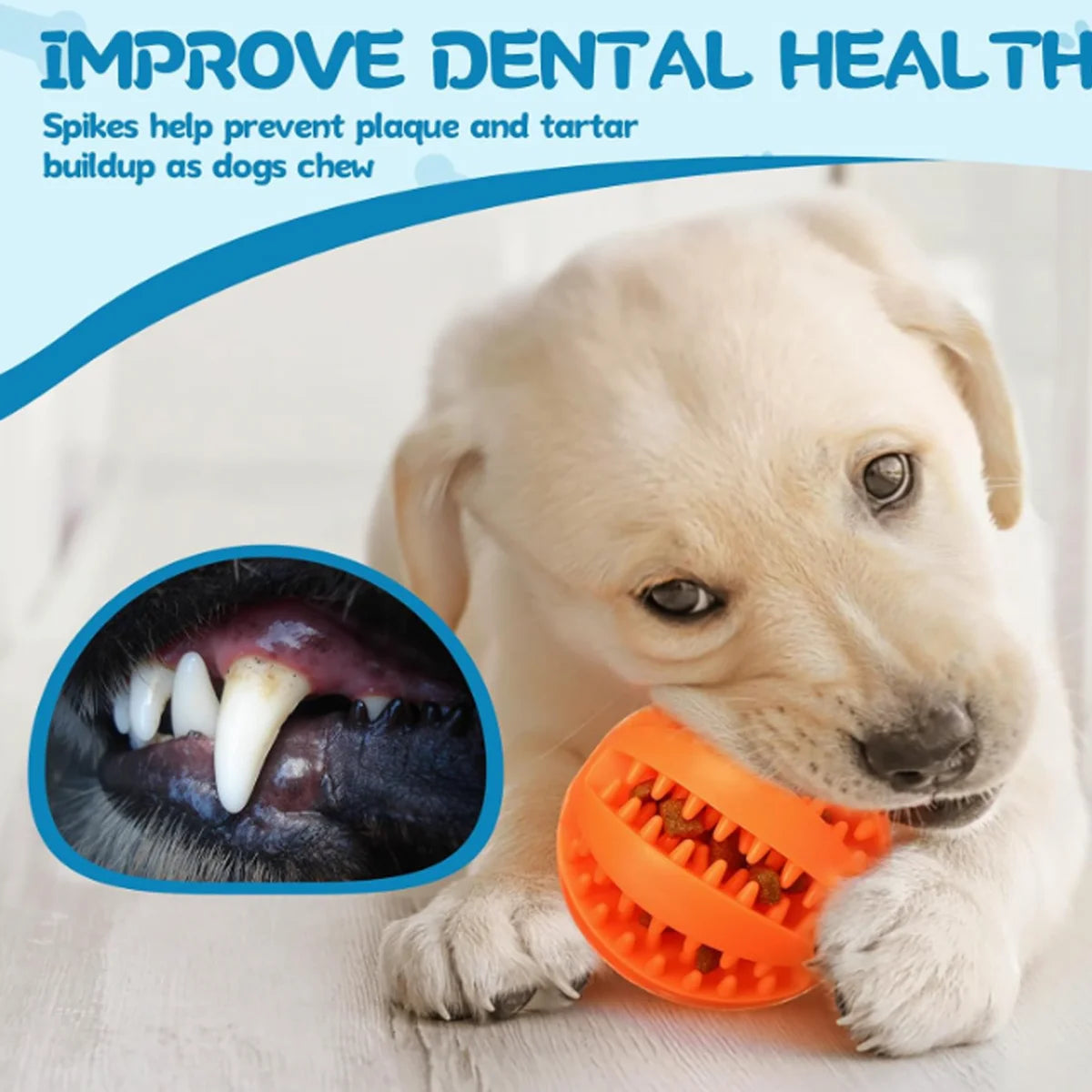 Alleviating Canine Tooth Pain Slowly Eat Chew Snacks And Distribute