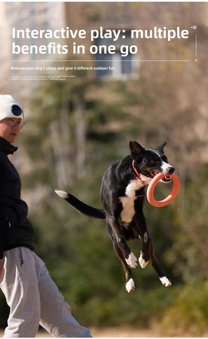 Bite-Resistant Soft Pull-Ring Frisbee Dog Training