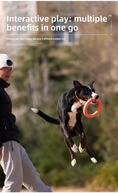 Bite-Resistant Soft Pull-Ring Frisbee Dog Training