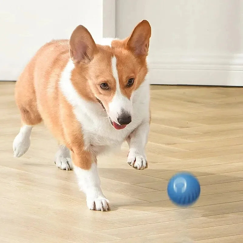 Smart Dog Toys Ball Electronic Interactive Pet Toy Moving Ball