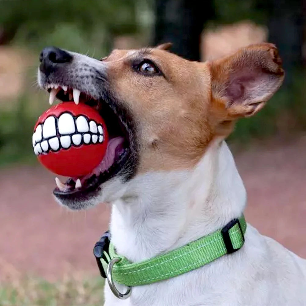 Rubber Dog Teeth Ball Toys Squeaky Cleaning Tooth