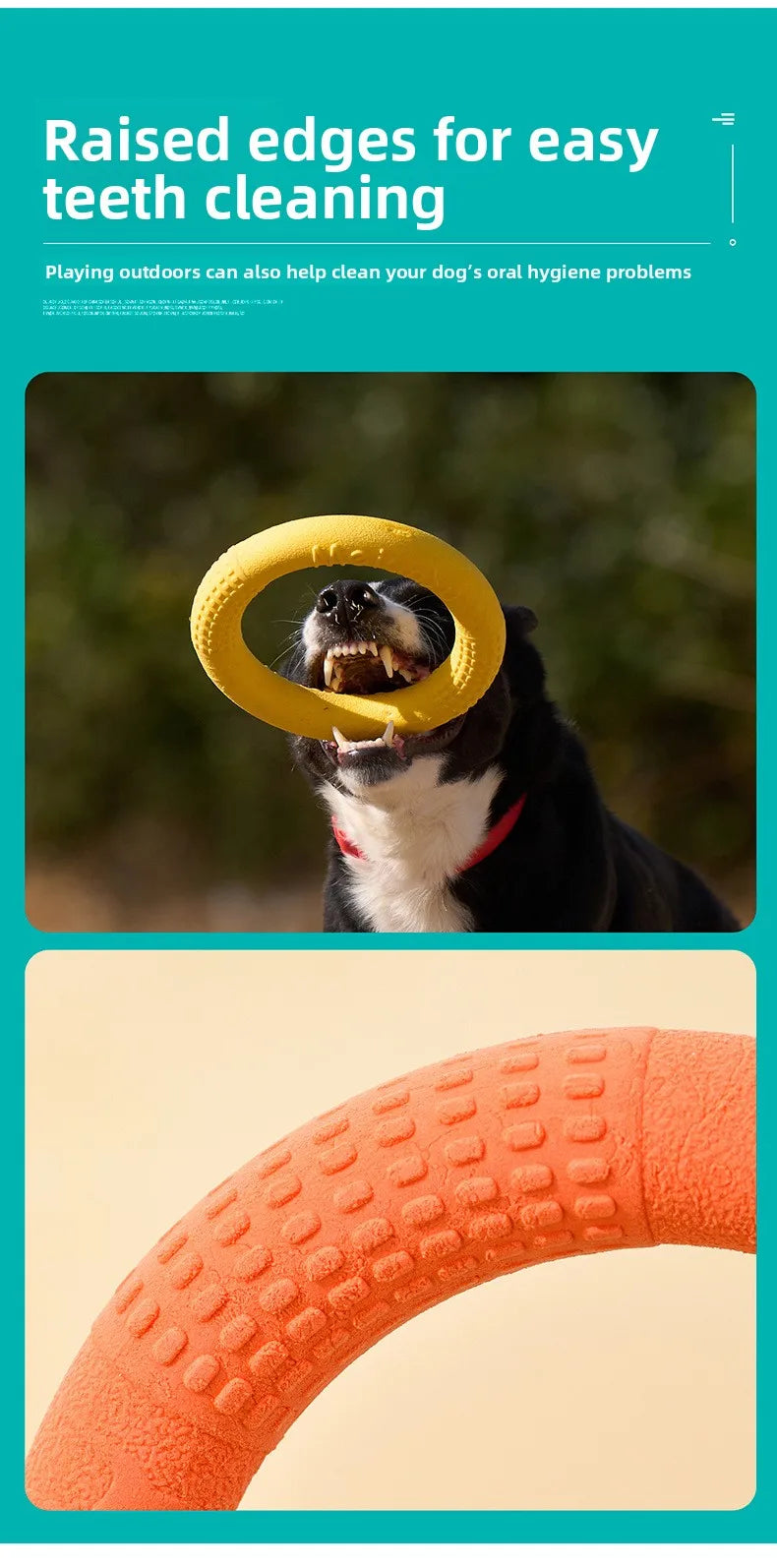Bite-Resistant Soft Pull-Ring Frisbee Dog Training