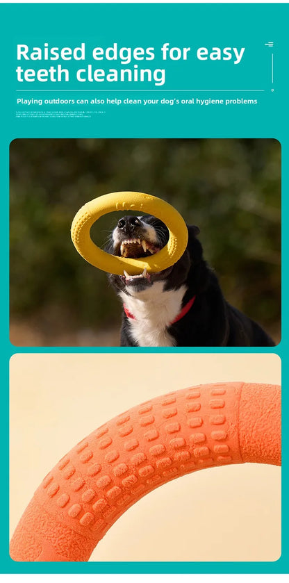 Bite-Resistant Soft Pull-Ring Frisbee Dog Training