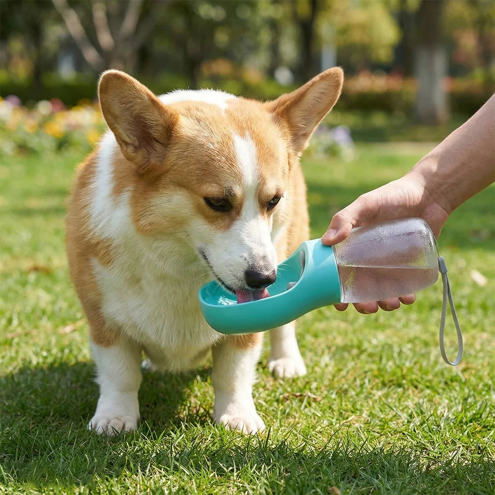Portable Pet Water Bottle 300ml BPA Free Outdoor Leakproof Dog Travel Water Dispenser Drinking Bowl for Walking Hiking Camping